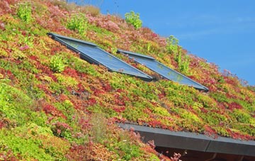 Hemswell living roof systems
